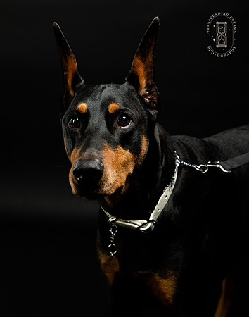 _KW_6030-Edit-2