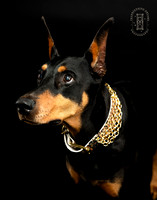 _KW_6224-Edit-2