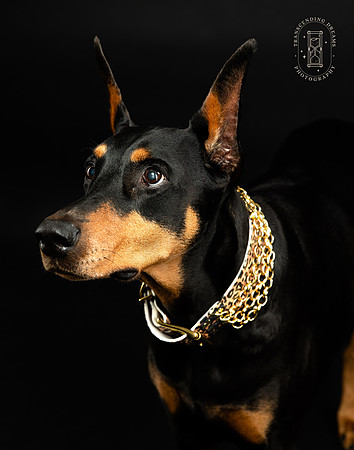 _KW_6224-Edit-2