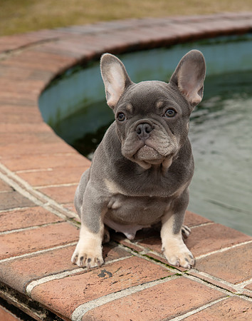 _KW17758