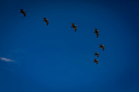 KMW_8641
